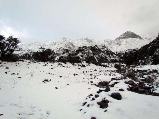 Los Queñes, Romeral, Región del Maule