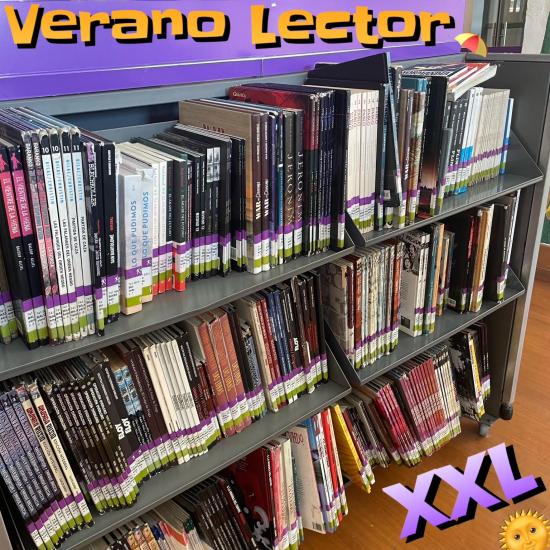 Verano lector XXL: Biblioteca de Santiago extiende sus préstamos en vacaciones